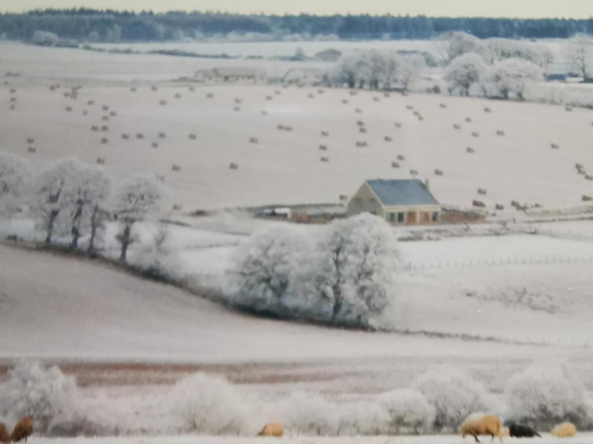 Hillhaven Bed &Breakfast Bed & Breakfast Fortrose Exterior foto
